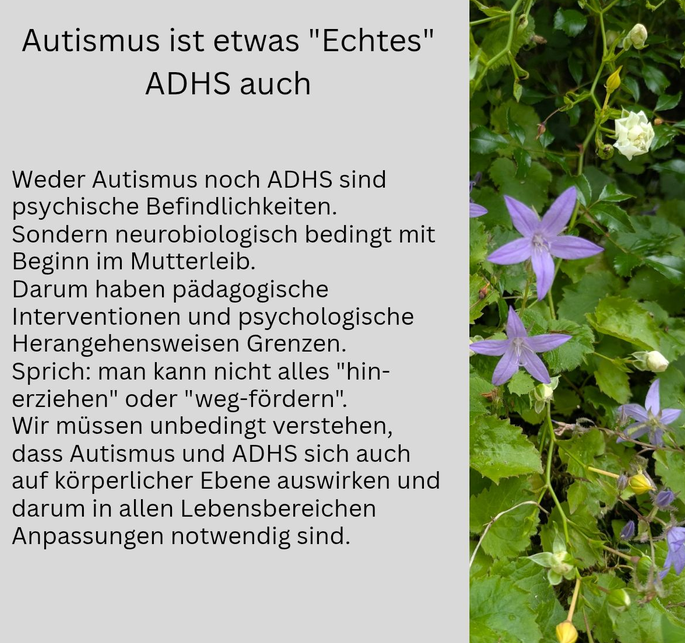 Autismus ist etwas "Echtes" Kurze Zusammenfassung des Artikels